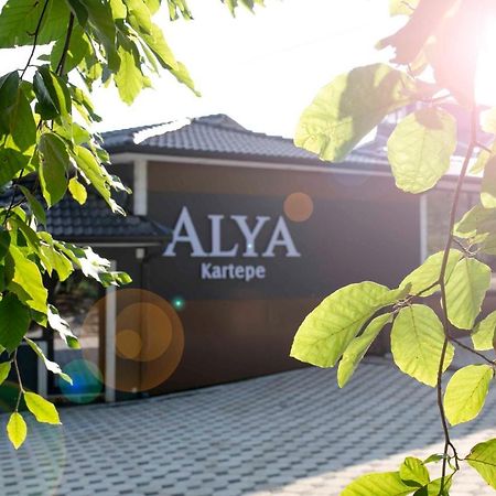 Alya Kartepe Villa Hotel 科喀艾里 外观 照片
