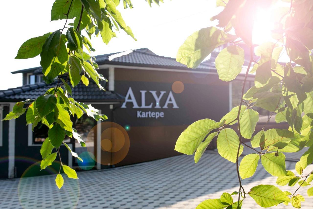 Alya Kartepe Villa Hotel 科喀艾里 外观 照片