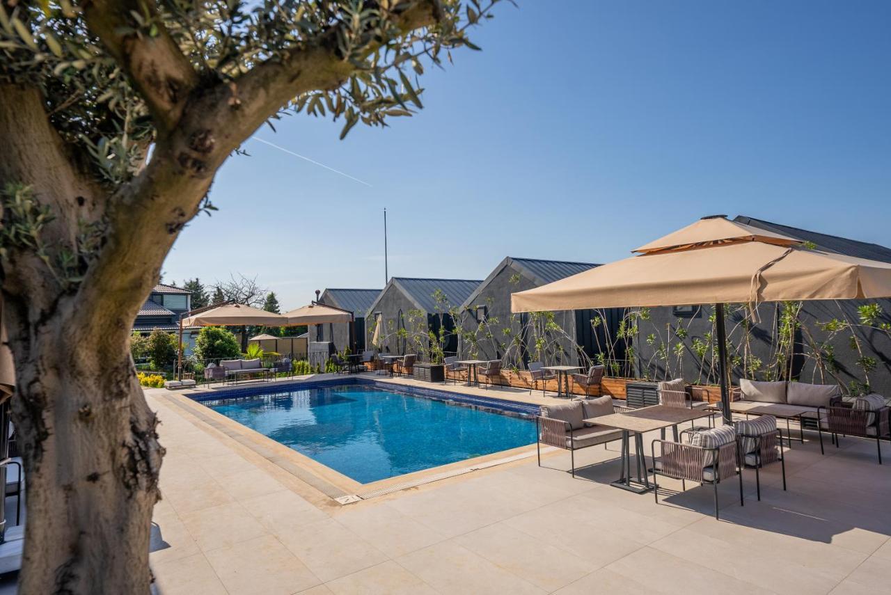 Alya Kartepe Villa Hotel 科喀艾里 外观 照片