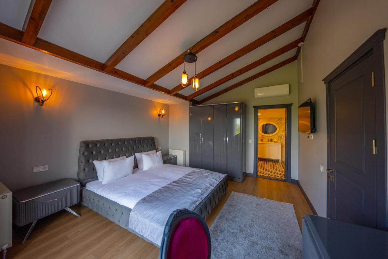 Alya Kartepe Villa Hotel 科喀艾里 外观 照片